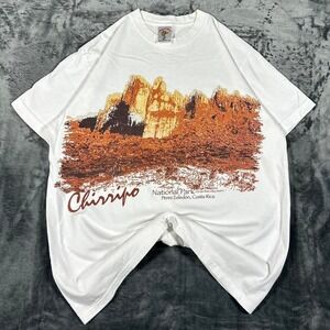 Y2K Tropic Joes Chirripo National Park‎ White Graphic T-Shirt - size medium